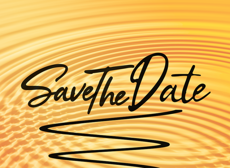 save the date, date, couple, dating, love, save, meeting, celebration, waves, typography, text, design, decorative, lines, card